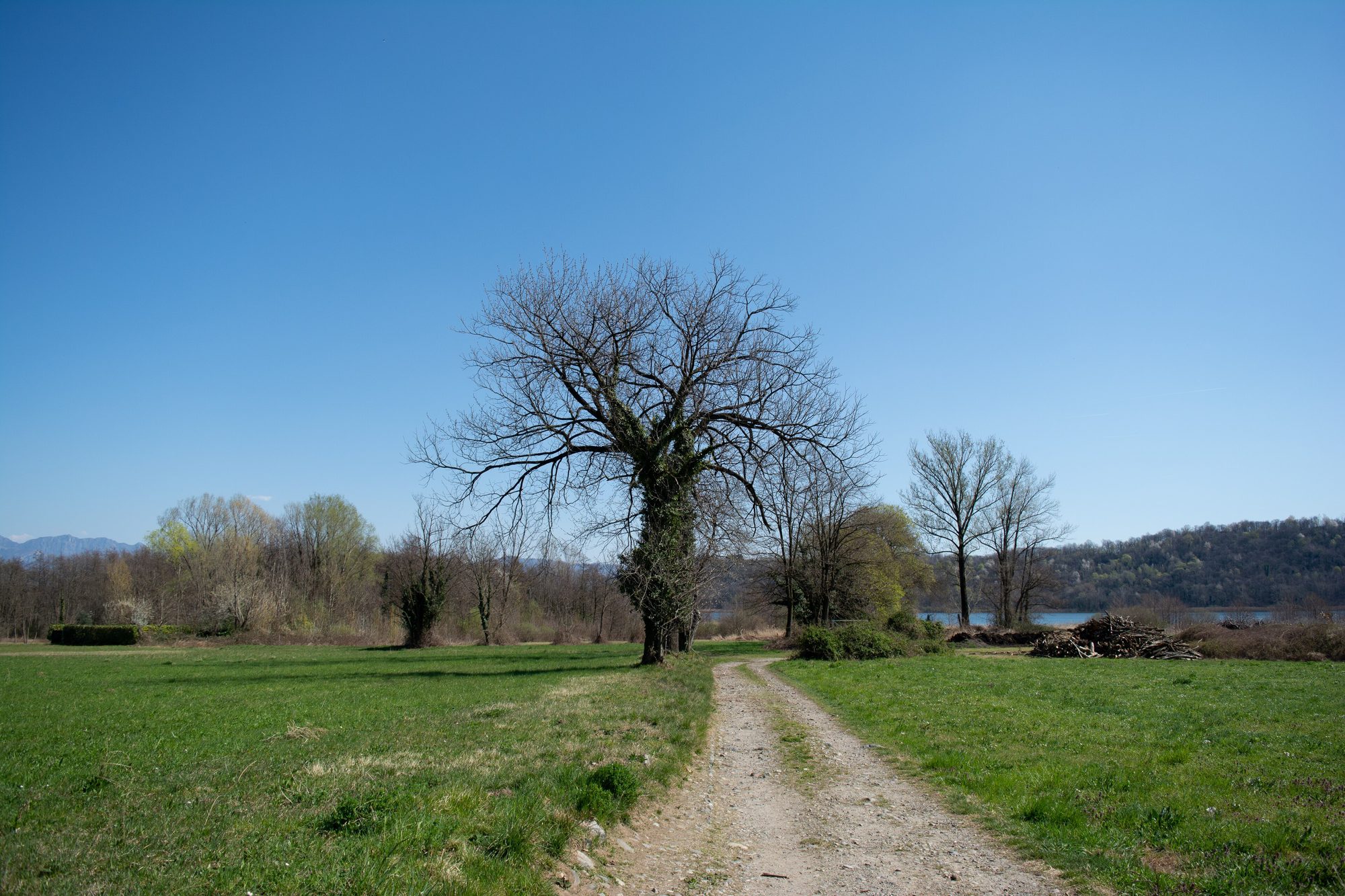 Sentiero lungo il lago di Alserio