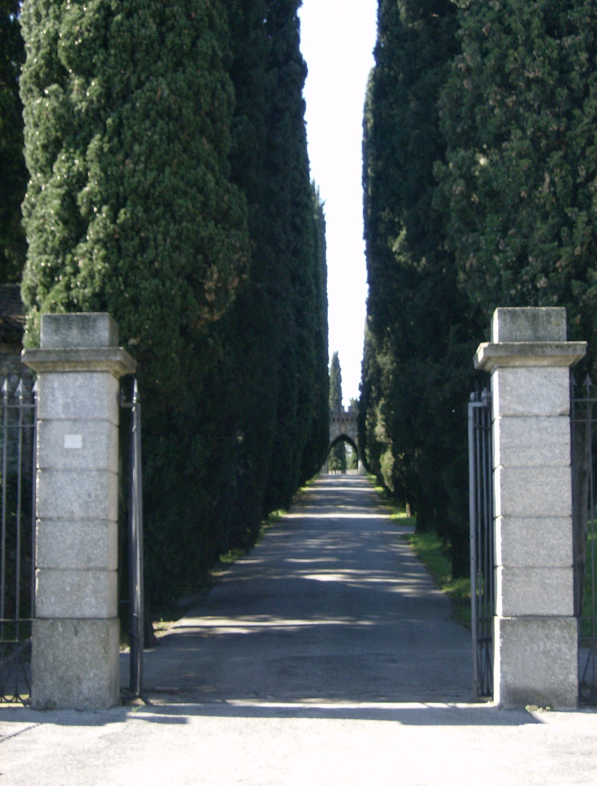 Il viale che sale al castello